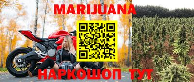 индика Бузулук