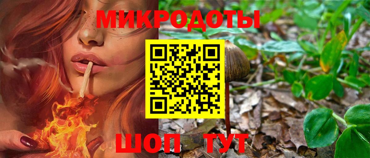 Галлюциногенные грибы Psilocybe  купить  сайты  Псилоцибиновые грибы Psilocybe  Бийск  Вход с VPN 